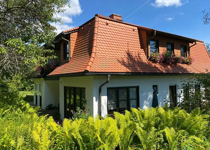 Elsterblick